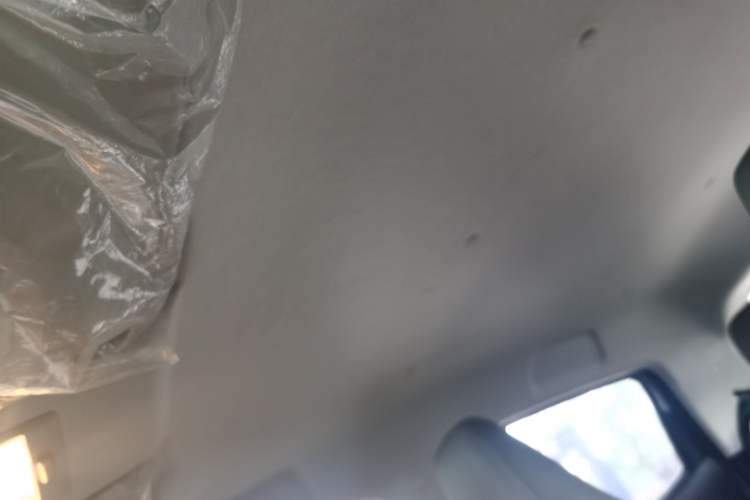 Used CHANGAN Benni E-Star 2020 Heartbeat Edition NMC Lithium Headliner
