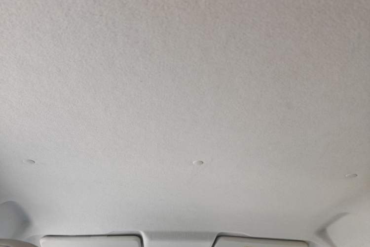 Used CHANGAN Benni E-Star 2020 Xinyue Edition Lithium Iron Phosphate (31.95 kWh) Headliner