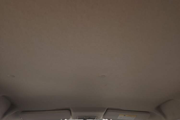 Used CHANGAN Benni E-Star 2020 Heartbeat Edition NMC Lithium Headliner