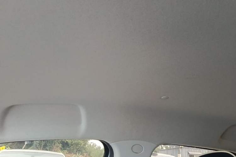 Used CHANGAN Benni E-Star 2020 Heartbeat Edition NMC Lithium Headliner
