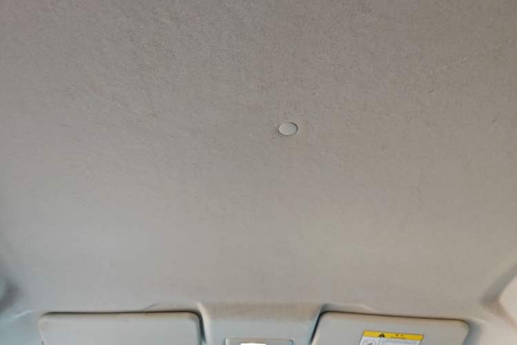 Used CHANGAN Benni E-Star 2020 Xinyue Edition Lithium-NMC Headliner
