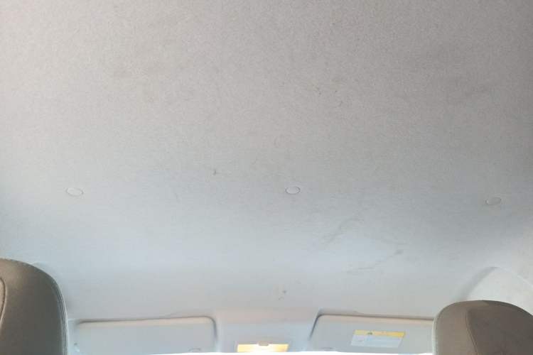 Used CHANGAN Benni E-Star 2020 Heartbeat Edition NMC Lithium Headliner
