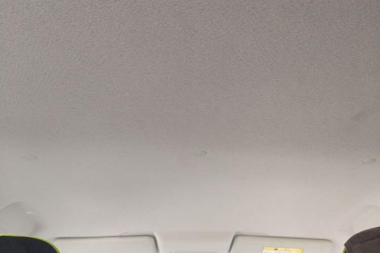 Used CHANGAN Benni E-Star 2020 Xinyue Edition Lithium Iron Phosphate (31.18 kWh) Headliner