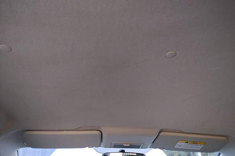 Used CHANGAN Benni E-Star 2020 Heart Edition Lithium Iron Phosphate (31.95 kWh) Headliner