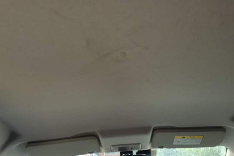 Used CHANGAN Benni E-Star 2020 Xinyue Edition Lithium Iron Phosphate (31.95 kWh) Headliner