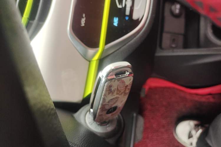 Used CHANGAN Benni E-Star 2020 Heartbeat Edition NMC Lithium Interior 1