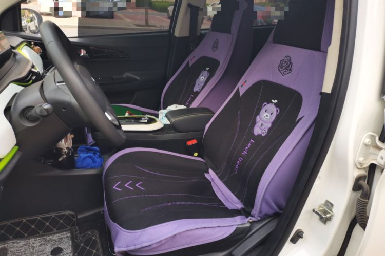 Used CHANGAN Benni E-Star 2020 Xinyue Edition Lithium Iron Phosphate (31.95 kWh) Left Front Seat