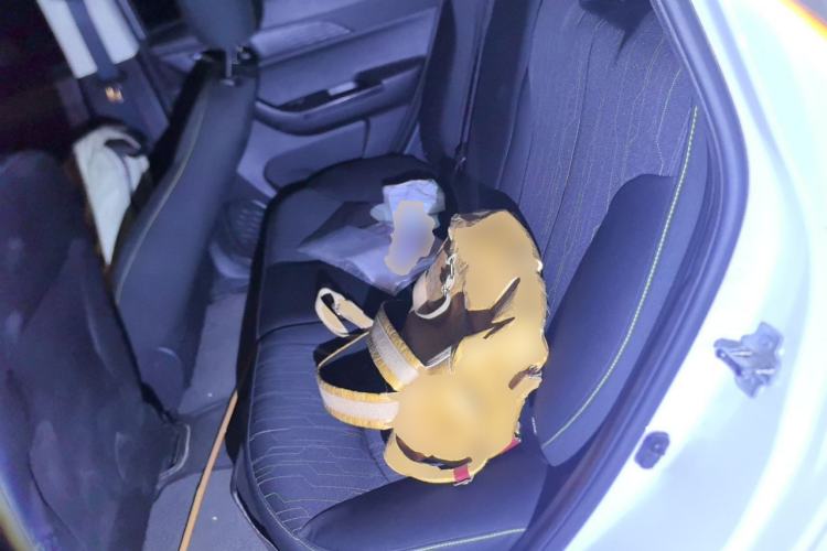 Used CHANGAN Benni E-Star 2020 Heartbeat Edition NMC Lithium Left Rear Seat