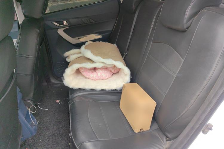 Used CHANGAN Benni E-Star 2020 Heart Edition Lithium Iron Phosphate (31.95 kWh) Left Rear Seat