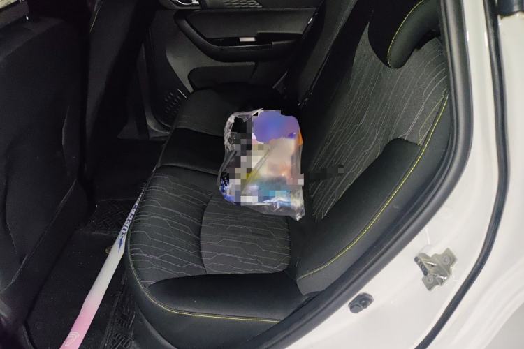 Used CHANGAN Benni E-Star 2020 Heartbeat Edition NMC Lithium Left Rear Seat