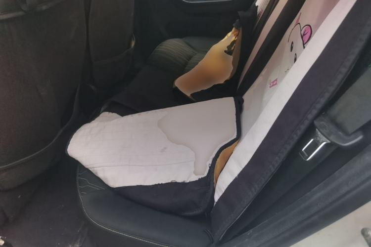Used CHANGAN Benni E-Star 2020 Heartbeat Edition NMC Lithium Left Rear Seat