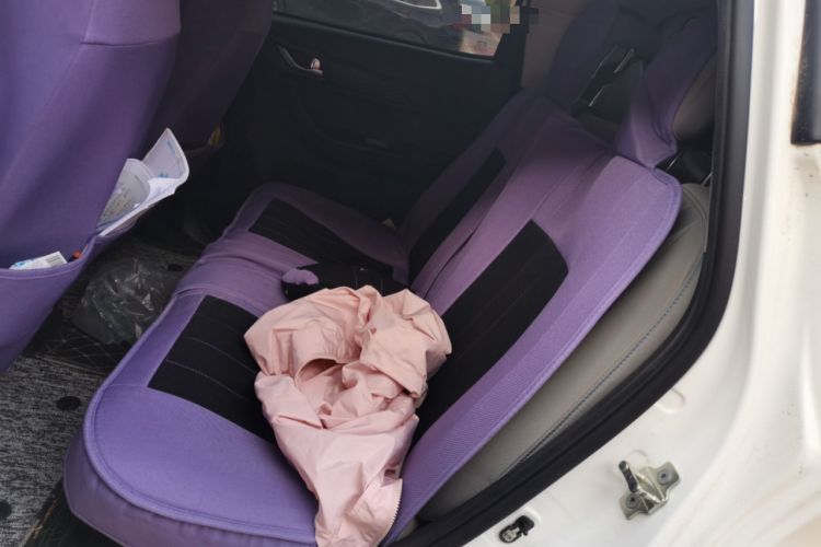 Used CHANGAN Benni E-Star 2020 Xinyue Edition Lithium Iron Phosphate (31.95 kWh) Left Rear Seat
