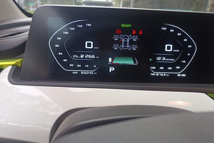 Used CHANGAN Benni E-Star 2020 Heartbeat Edition NMC Lithium Odometer Close Up