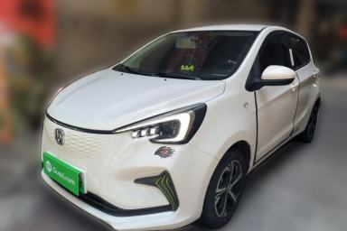 Used CHANGAN Benni E-Star 2020 Xinyue Edition Lithium-NMC