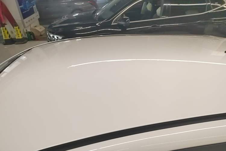 Used CHANGAN Benni E-Star 2020 Xinyue Edition Lithium Iron Phosphate (31.18 kWh) Roof