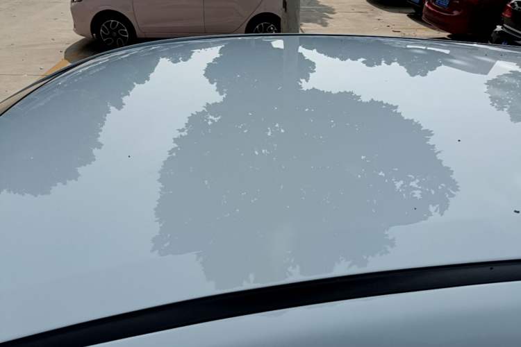 Used CHANGAN Benni E-Star 2020 Heartbeat Edition NMC Lithium Roof