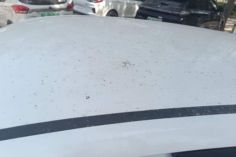 Used CHANGAN Benni E-Star 2020 Heartbeat Edition NMC Lithium Roof
