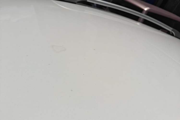 Used CHANGAN Benni E-Star 2020 Xinyue Edition Lithium Iron Phosphate (31.95 kWh) Roof