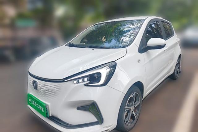 Used CHANGAN Benni E-Star 2020 Xinyue Edition Lithium Iron Phosphate (31.18 kWh)