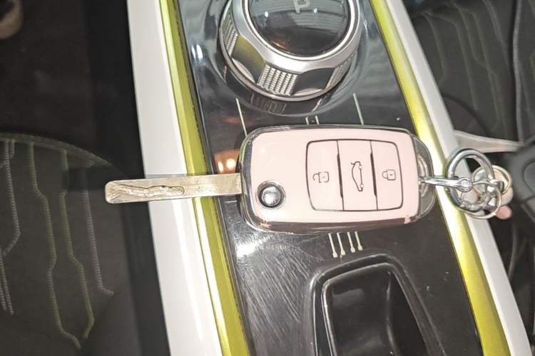Used CHANGAN Benni E-Star 2020 Heartbeat Edition NMC Lithium Vehicle Key