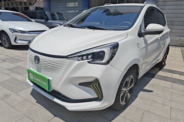 Used CHANGAN Benni E-Star 2020 Xinyue Edition Lithium Iron Phosphate (31.95 kWh)