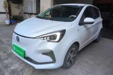 Used CHANGAN Benni E-Star 2020 Xinyue Edition Lithium-NMC