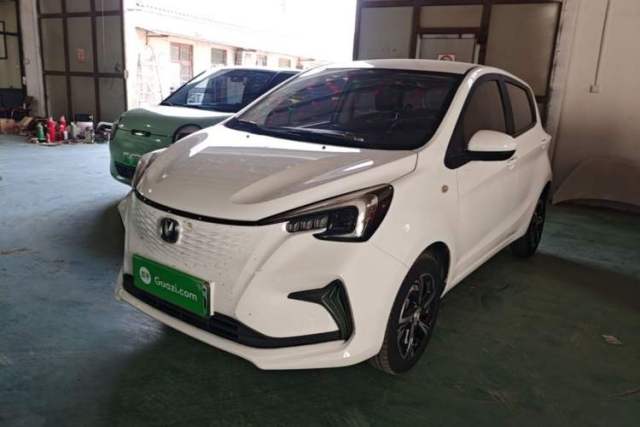 Used CHANGAN Benni E-Star 2020 Xinyue Edition Lithium Iron Phosphate (31.18 kWh)