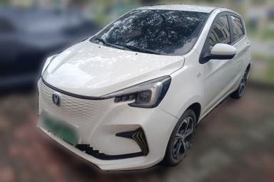 Used CHANGAN Benni E-Star 2020 Heartbeat Edition NMC Lithium
