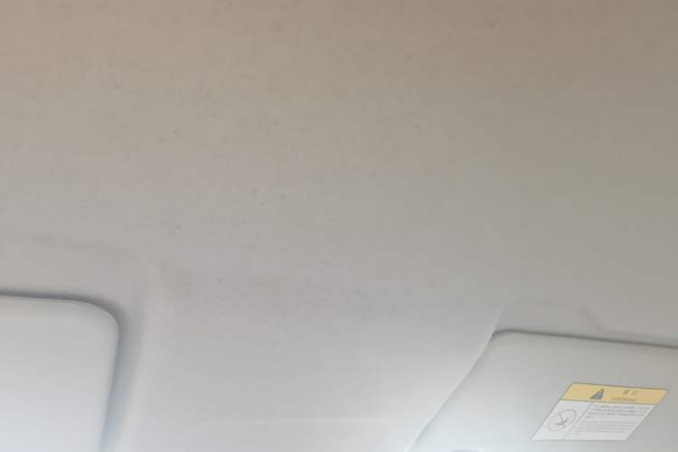Used CHANGAN Benni E-Star 2021 National Edition Xin Yue Version Lithium Iron Phosphate (31.86 kWh) Headliner