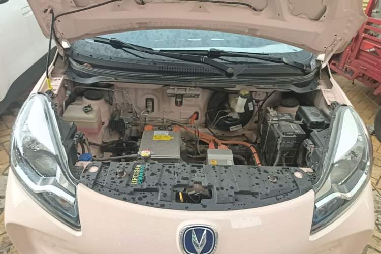 Used CHANGAN Benni E-Star 2021 National Edition Colorful Version Lithium Iron Phosphate (31.86 kWh) Engine Bay