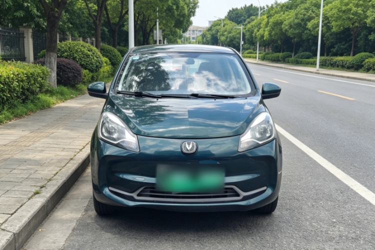 Used CHANGAN Benni E-Star 2021 National Edition Xin Yue Version Lithium Iron Phosphate (31.86 kWh) Exterior 7