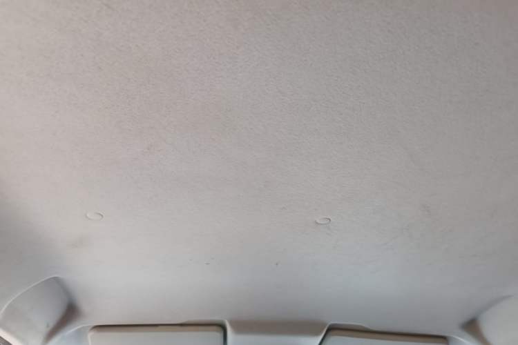 Used CHANGAN Benni E-Star 2021 National Edition Xin Yue Version (Fast-Charging Edition) Lithium Iron Phosphate (31.95 kWh) Headliner
