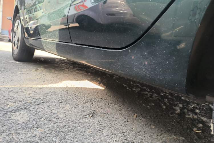 Used CHANGAN Benni E-Star 2021 National Edition Xin Yue Version Lithium Iron Phosphate (31.86 kWh) Left Side Sill