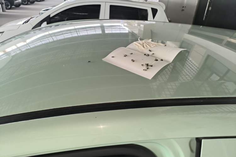 Used CHANGAN Benni E-Star 2021 National Edition Colorful Version Lithium Iron Phosphate (31.86 kWh) Roof