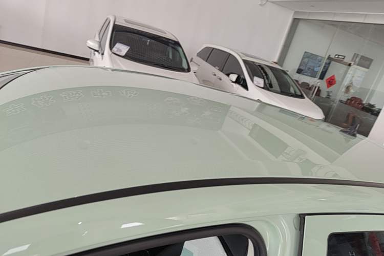Used CHANGAN Benni E-Star 2021 National Edition Colorful Version Lithium Iron Phosphate (31.86 kWh) Roof