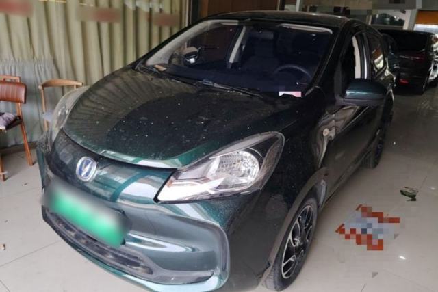 Used CHANGAN Benni E-Star 2021 National Edition Xinyi Version (Fast-Charging Edition) Lithium Iron Phosphate (31.95 kWh)