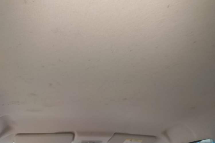 Used CHANGAN Benni E-Star 2021 National Edition Colorful Version Lithium Iron Phosphate (31.86 kWh) Headliner