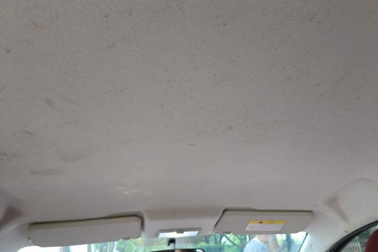 Used CHANGAN Benni E-Star 2021 National Edition Colorful Version Lithium Iron Phosphate (31.86 kWh) Headliner