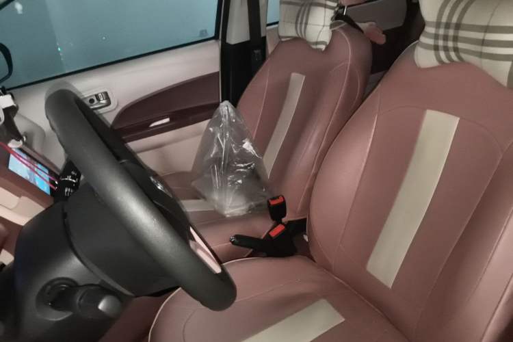 Used CHANGAN Benni E-Star 2021 National Edition Colorful Version Lithium Iron Phosphate (31.86 kWh) Left Front Seat