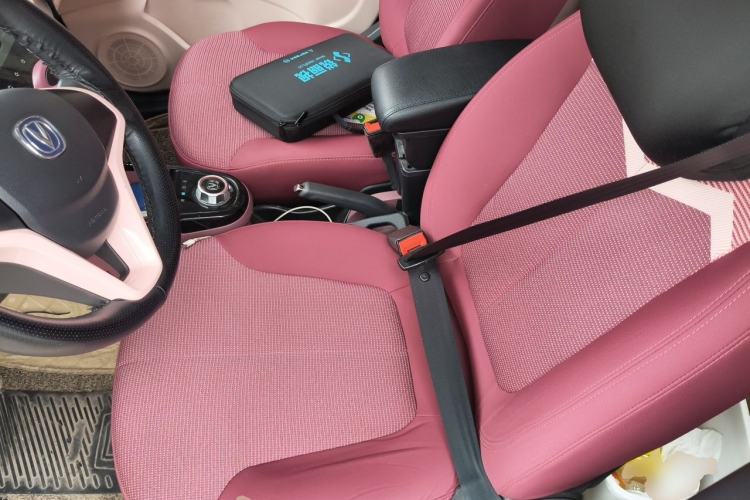 Used CHANGAN Benni E-Star 2021 National Edition Colorful Version Lithium Iron Phosphate (31.86 kWh) Left Front Seat