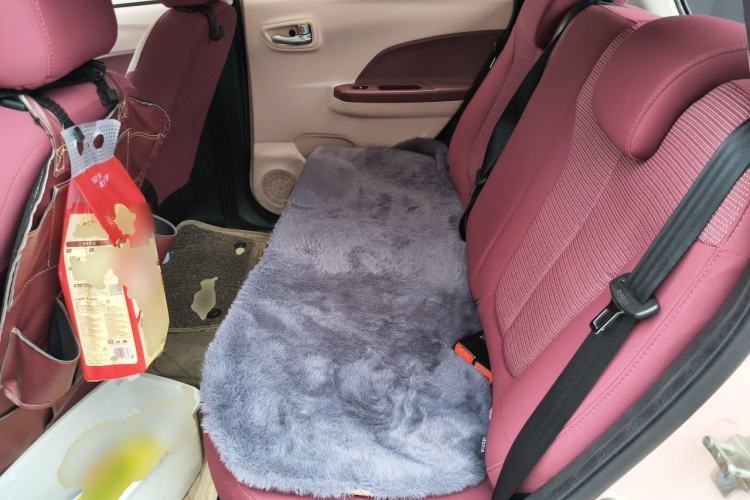 Used CHANGAN Benni E-Star 2021 National Edition Colorful Version Lithium Iron Phosphate (31.86 kWh) Left Rear Seat