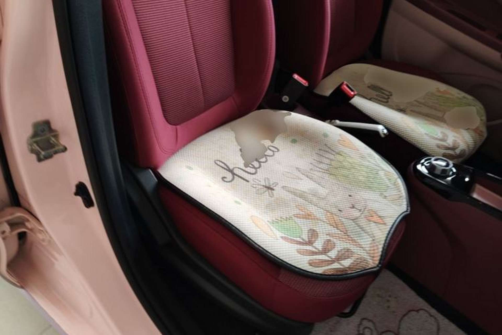 Used CHANGAN Benni E-Star 2021 National Edition Colorful Version Lithium Iron Phosphate (31.86 kWh) Right Front Seat