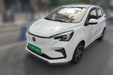 Used CHANGAN Benni E-Star 2021 National Edition Xin Yue Version (Fast-Charging Edition) Lithium Iron Phosphate (31.95 kWh)