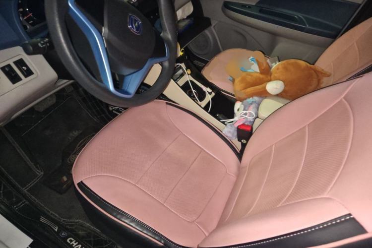 Used CHANGAN Benni E-Star 2021 National Edition Colorful Version Lithium Iron Phosphate (31.86 kWh) Driver Seat