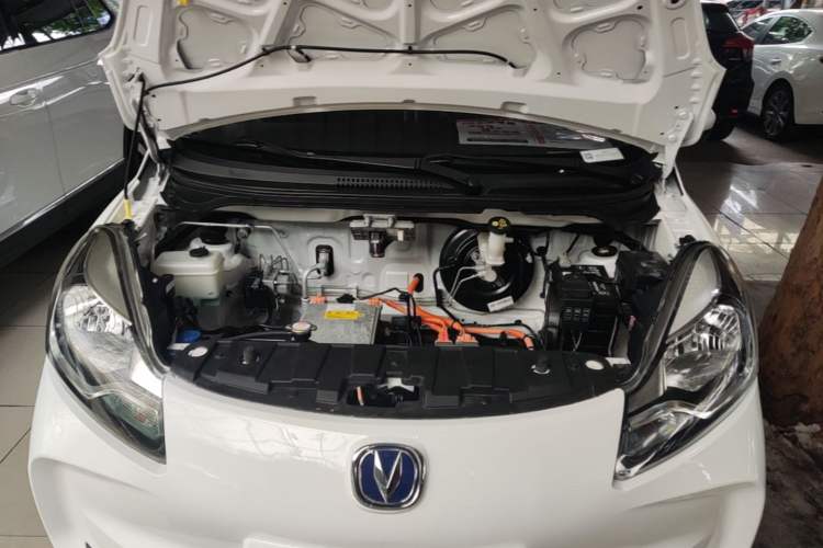 Used CHANGAN Benni E-Star 2021 National Edition Xin Yue Version Lithium Iron Phosphate (31.86 kWh) Engine Bay
