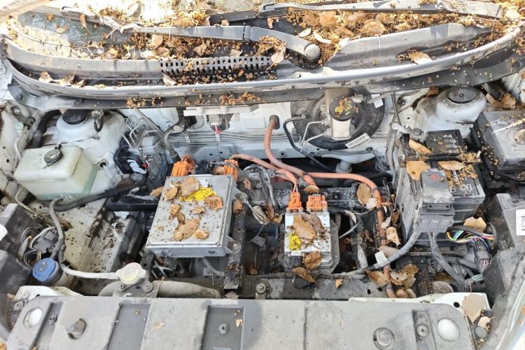 Used CHANGAN Benni E-Star 2021 National Edition Xin Yue Version (Fast-Charging Edition) Lithium Iron Phosphate (31.18 kWh) Engine Bay