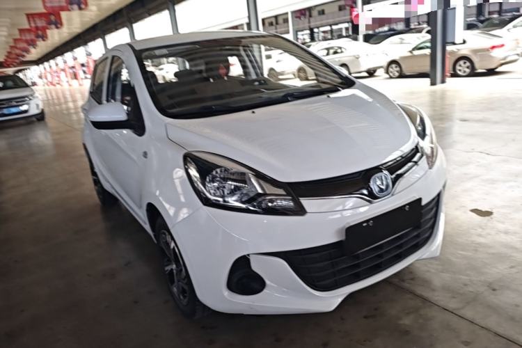 Used CHANGAN Benni E-Star 2021 National Edition Xin Yue Version Lithium-Ion Battery Exterior 1