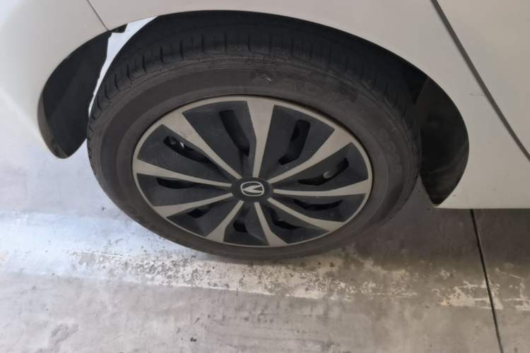 Used CHANGAN Benni E-Star 2021 National Edition Xin Yue Version (Fast-Charging Edition) Lithium Iron Phosphate (31.95 kWh) Exterior 5