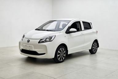 Used CHANGAN Benni E-Star 2021 National Edition Xin Yue Version Lithium Iron Phosphate (31.86 kWh)
