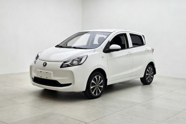 Used CHANGAN Benni E-Star 2021 National Edition Xin Yue Version Lithium Iron Phosphate (31.86 kWh)